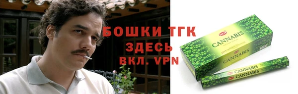 тгк Сатка