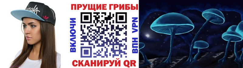 Псилоцибиновые грибы мухоморы  нарко площадка формула  Оленегорск 
